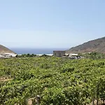 Tres Palmeras * Güimar