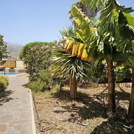 Tres Palmeras Apartment *
