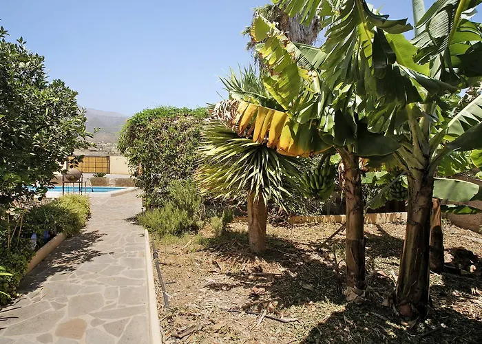 Tres Palmeras Apartamento *