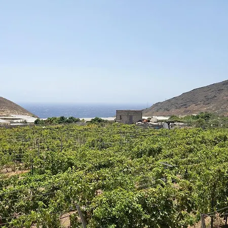 Tres Palmeras * Güimar